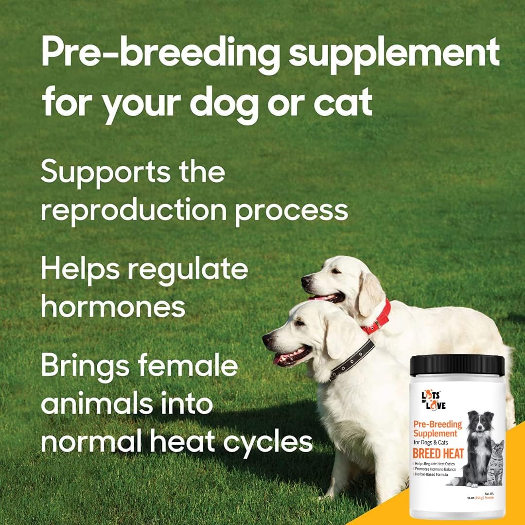Breed Heat - Suplemento Reproductivo para Perros y Gatos (Antes Thomas Labs, Mismo Producto) - 454 g Polvo