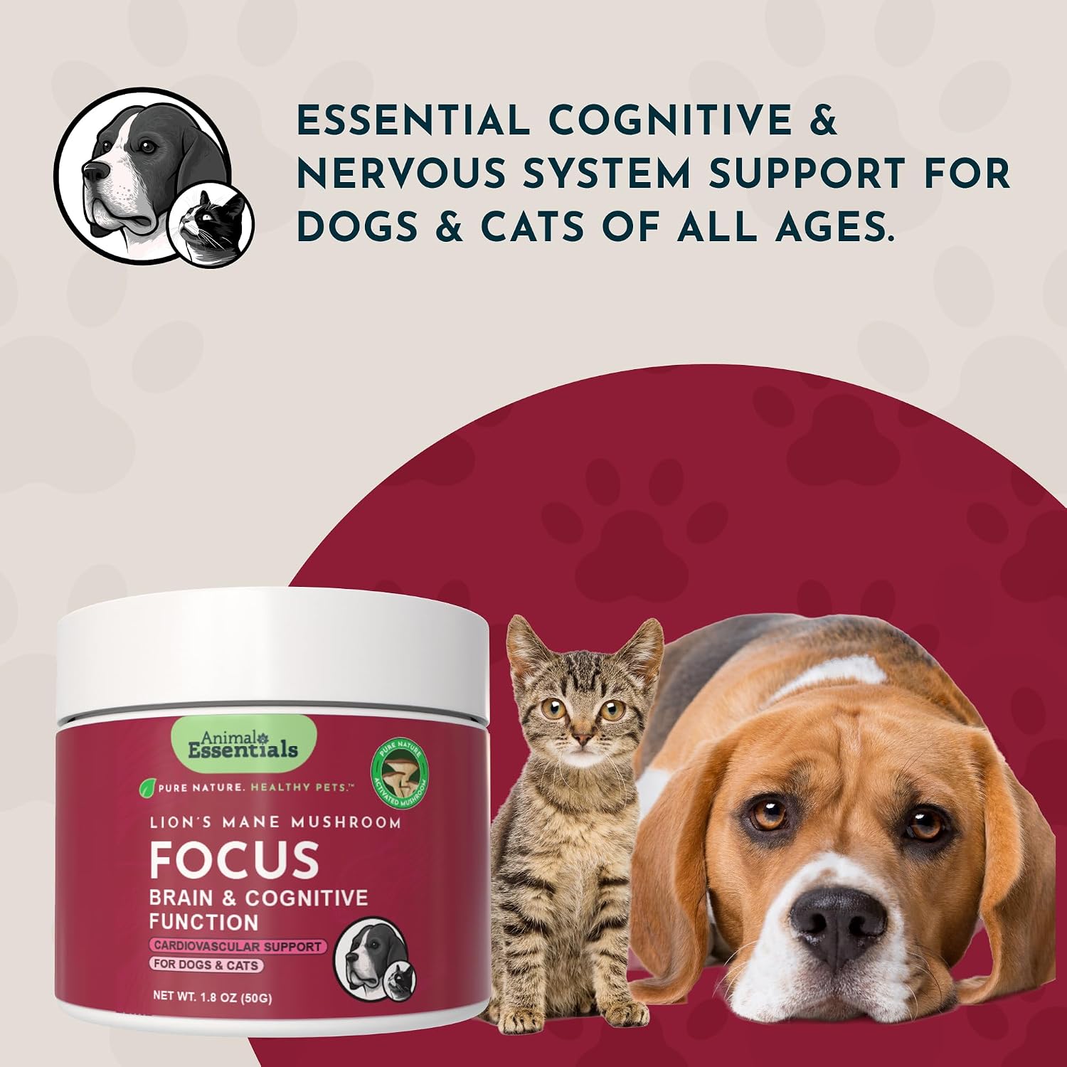 Animal Essentials Focus Lions Mane Mushroom Supplement para Perros y Gatos – 1.8 oz (51 g)