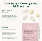 HealthyNest Vitaminas Prenatales para Preconcepción y Primer Trimestre con Metilfolato, Colina, DHA, Hierro e Inositol - 31 Días