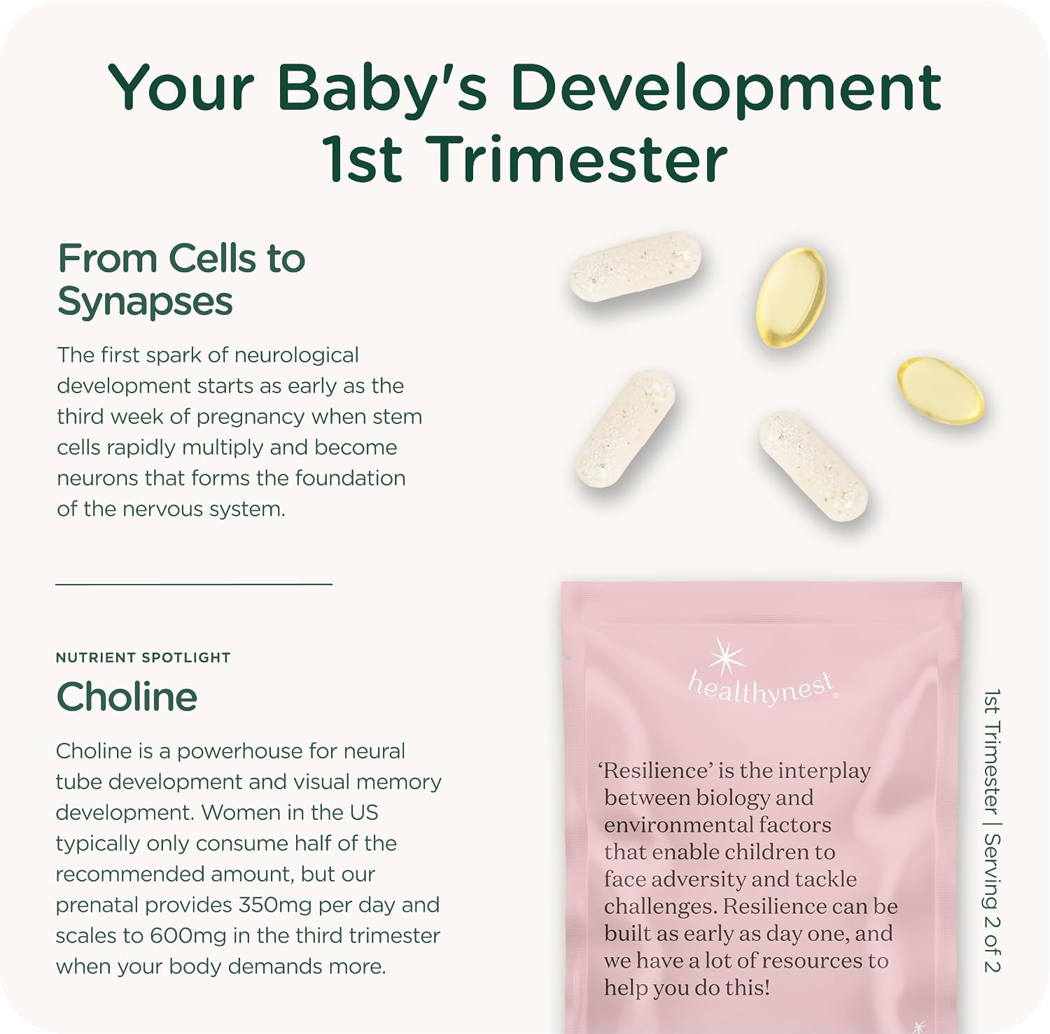 HealthyNest Vitaminas Prenatales para Preconcepción y Primer Trimestre con Metilfolato, Colina, DHA, Hierro e Inositol - 31 Días