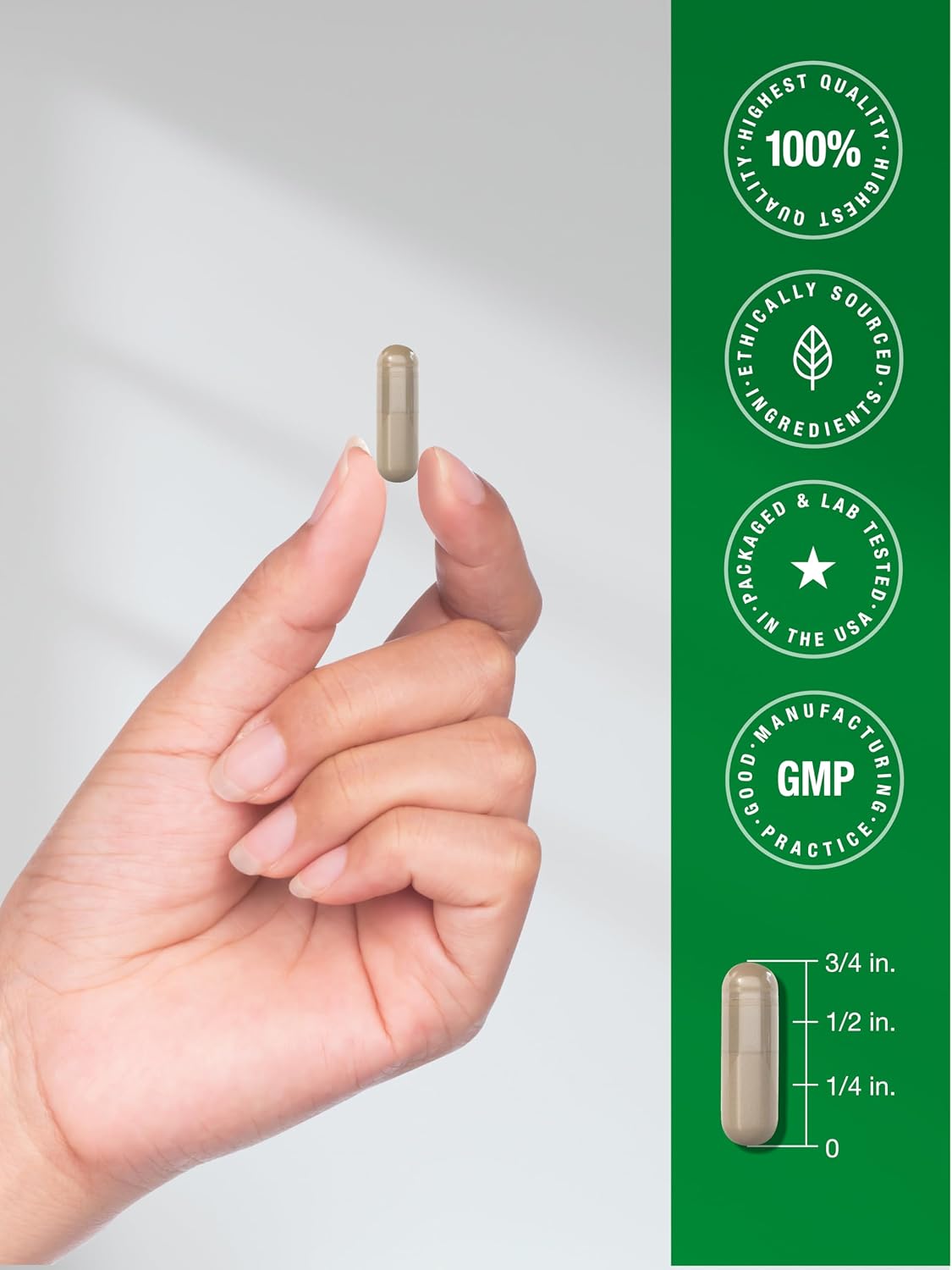 Horbäach Rhodiola Rosea Cápsulas | 180 Cápsulas | Suplemento No GMO, Sin Gluten
