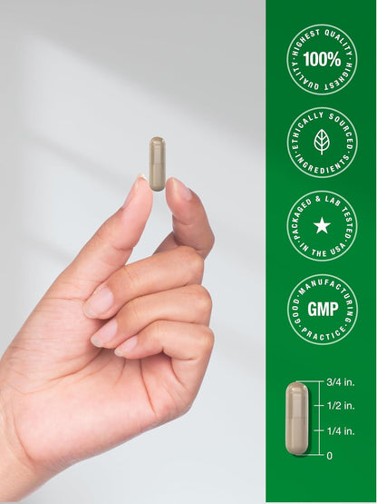 Horbäach Rhodiola Rosea Cápsulas | 180 Cápsulas | Suplemento No GMO, Sin Gluten – Image 7