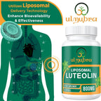 Ulmubra 800 mg Luteolina Liposomal - Suplemento Antioxidante de Alta Absorción, 60 Perlas