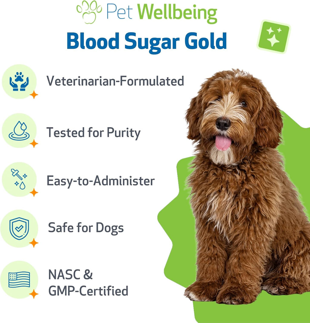 Pet Wellbeing Blood Sugar Gold para Perros - Apoyo Holístico para Niveles Saludables de Azúcar en Sangre, Estabilización de Insulina y Función Pancreática Normal - Certificado NASC y Formulado por Veterinarios - 118 ml Líquido