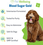 Pet Wellbeing Blood Sugar Gold para Perros - Apoyo Holístico para Niveles Saludables de Azúcar en Sangre, Estabilización de Insulina y Función Pancreática Normal - Certificado NASC y Formulado por Veterinarios - 118 ml Líquido