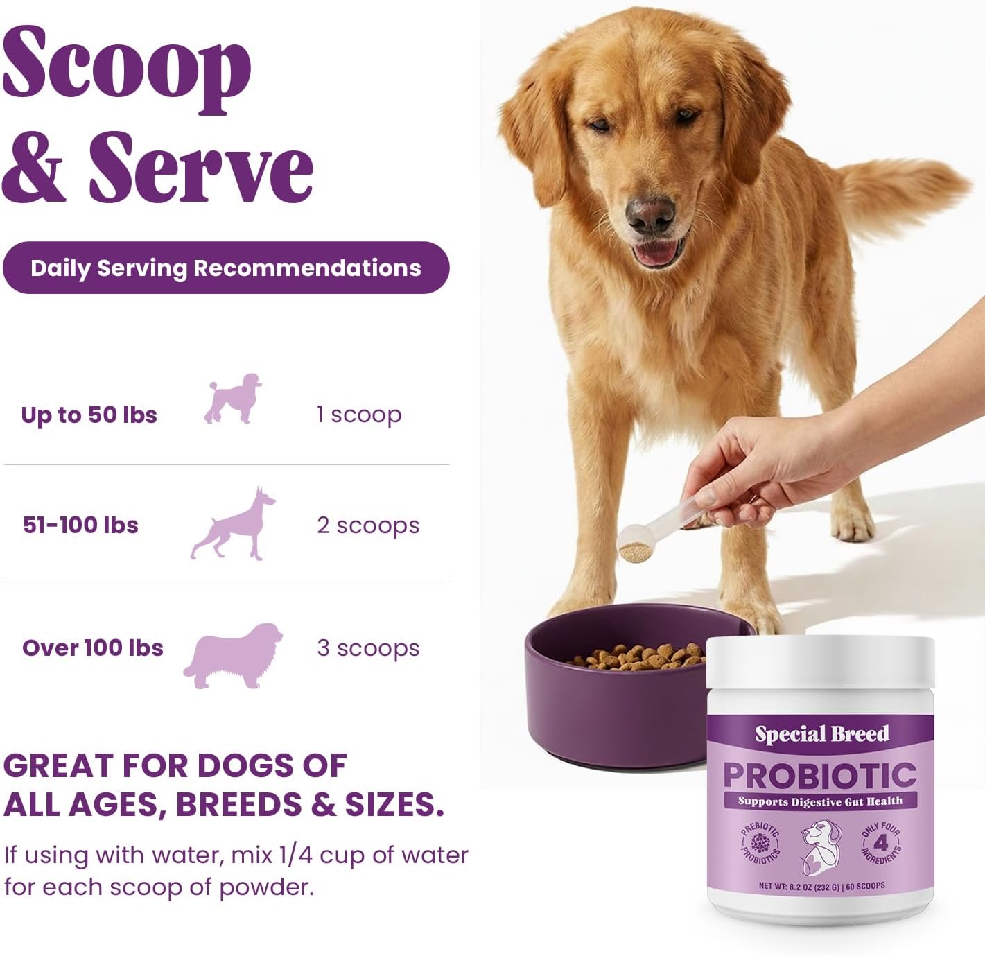 Probióticos para Perros en Polvo con 6 mil millones de UFC, Prebióticos y Enzimas Digestivas - Salud Digestiva e Inmune - 60 Dosis