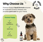 Forever Puppy Senior Dogs Drops - Complejo de apoyo inmunológico y cerebral para perros mayores de todas las razas y tamaños - Vitaminas y suplementos para mascotas mayores - Suplementos alimenticios - 59 ml