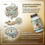 MN Mother Nature Extracto de Fu-Ling 500mg – 120 Cápsulas Veganas