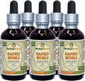 Extracto Líquido de Safed Musli (Chlorophytum Borivillianum) – 5 Frascos de 2 oz