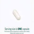 Genestra Brands HMF Multi Strain 100 – Concentrated 14-Strain Probiotic, 100 Billion CFU, 30 Capsules