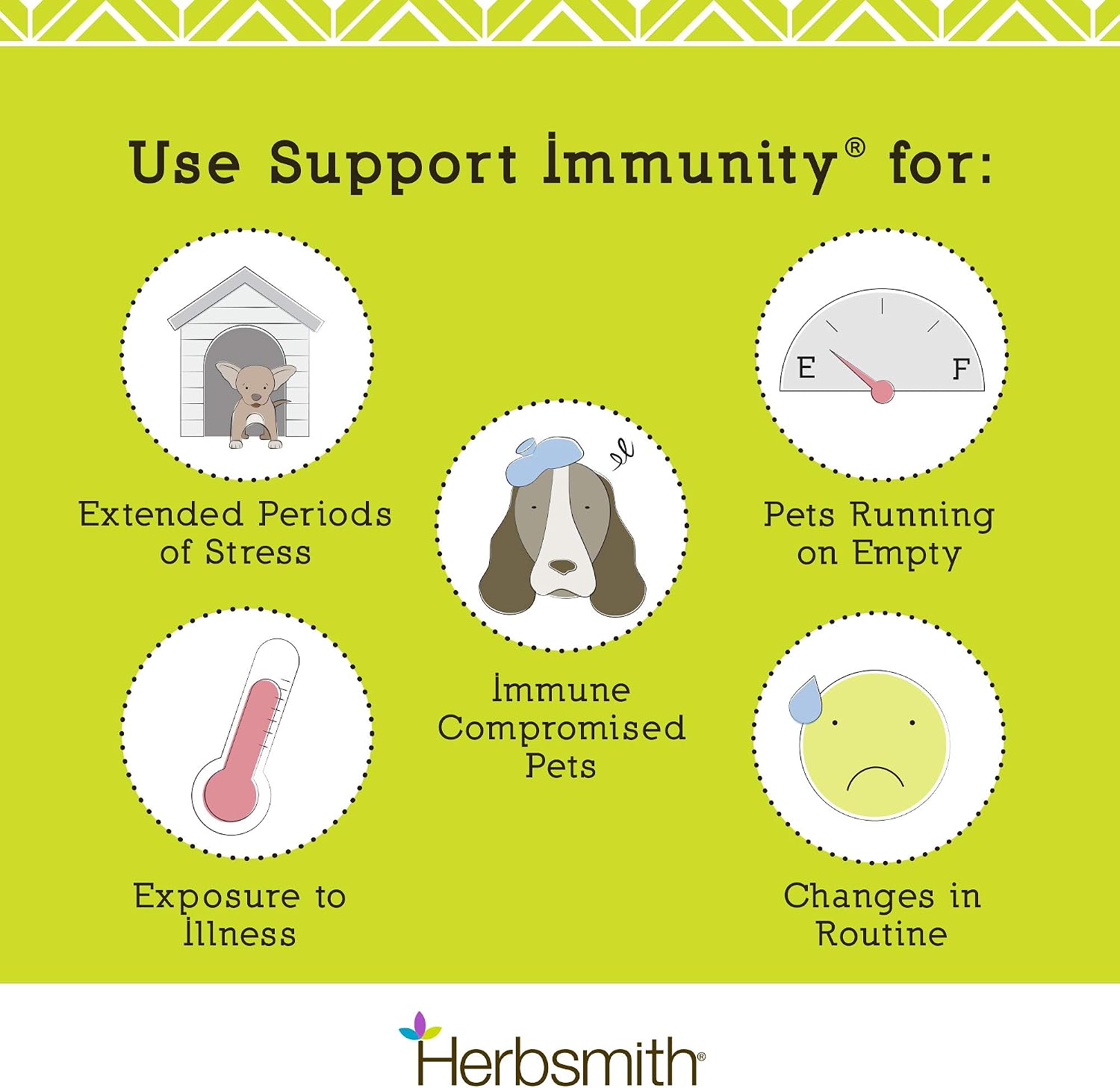 Herbsmith Immune Support - 75g Polvo