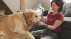Multipetcare Probióticos para Perros – 5 Cepas, 2 Mil Millones UFC + Enzimas Digestivas y Prebióticos | Salud Digestiva, Heces Firmes, Menos Gases | con Vitaminas del Grupo B | Sabor a Pollo | 120 Comprimidos