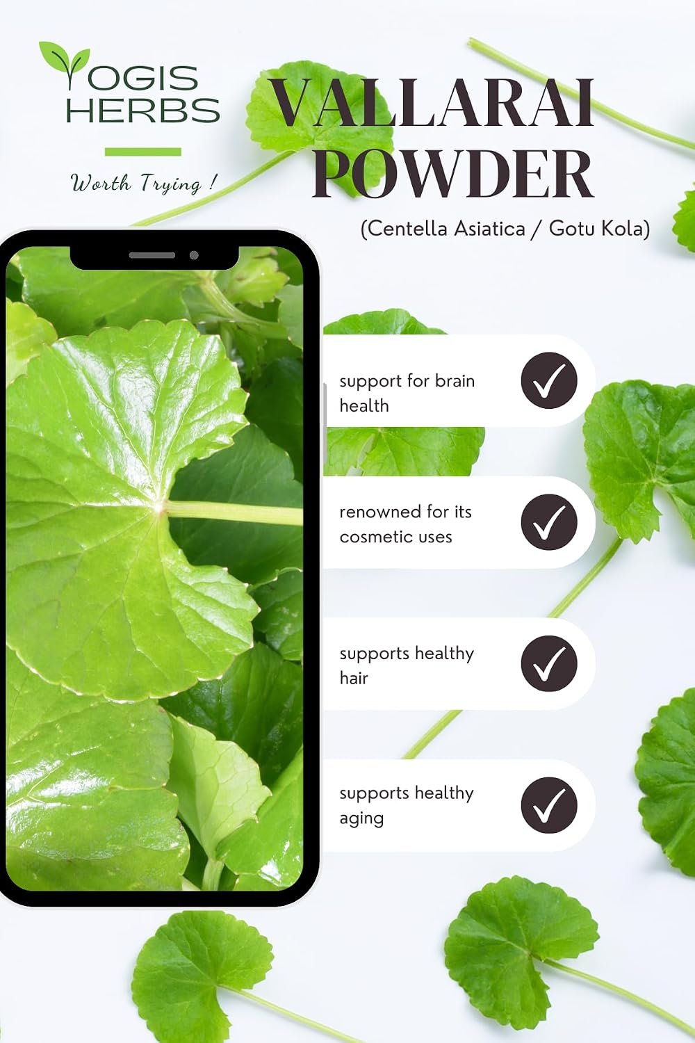 YOGIS HERBS Vallarai en polvo - Centella Asiatica (Gotu Kola) - Tradición Ayurvédica