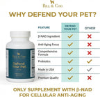 BILL & COO Defend Your Pet β-NAD Supplement for Senior Dogs – Advanced Cellular Anti-Aging with Vitamins C, D, K2, Probiotics & Digestive Enzymes – 105g