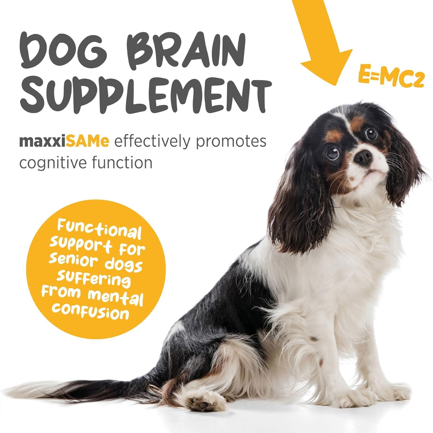 maxxiSAMe Suplemento Avanzado de SAM-e en Polvo para Perros - Apoyo Hepático, Cognitivo y Articular, 150g
