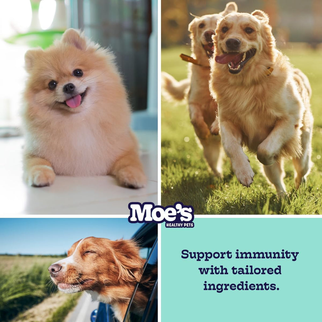 Masticables Probióticos para Perros Moe's – Sabor Calabaza, 90 unidades