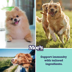 Masticables Probióticos para Perros Moe's – Sabor Calabaza, 90 unidades