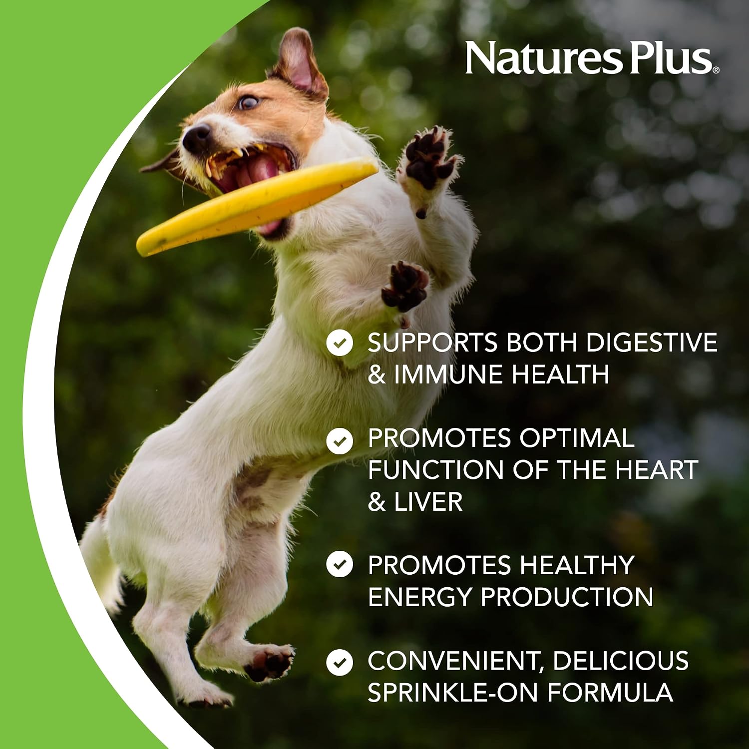 NaturesPlus FurBaby Probiótico para Perros - 269 g - Apoya la Salud Digestiva, Cardíaca, Hepática e Inmunológica - 60 Dosis