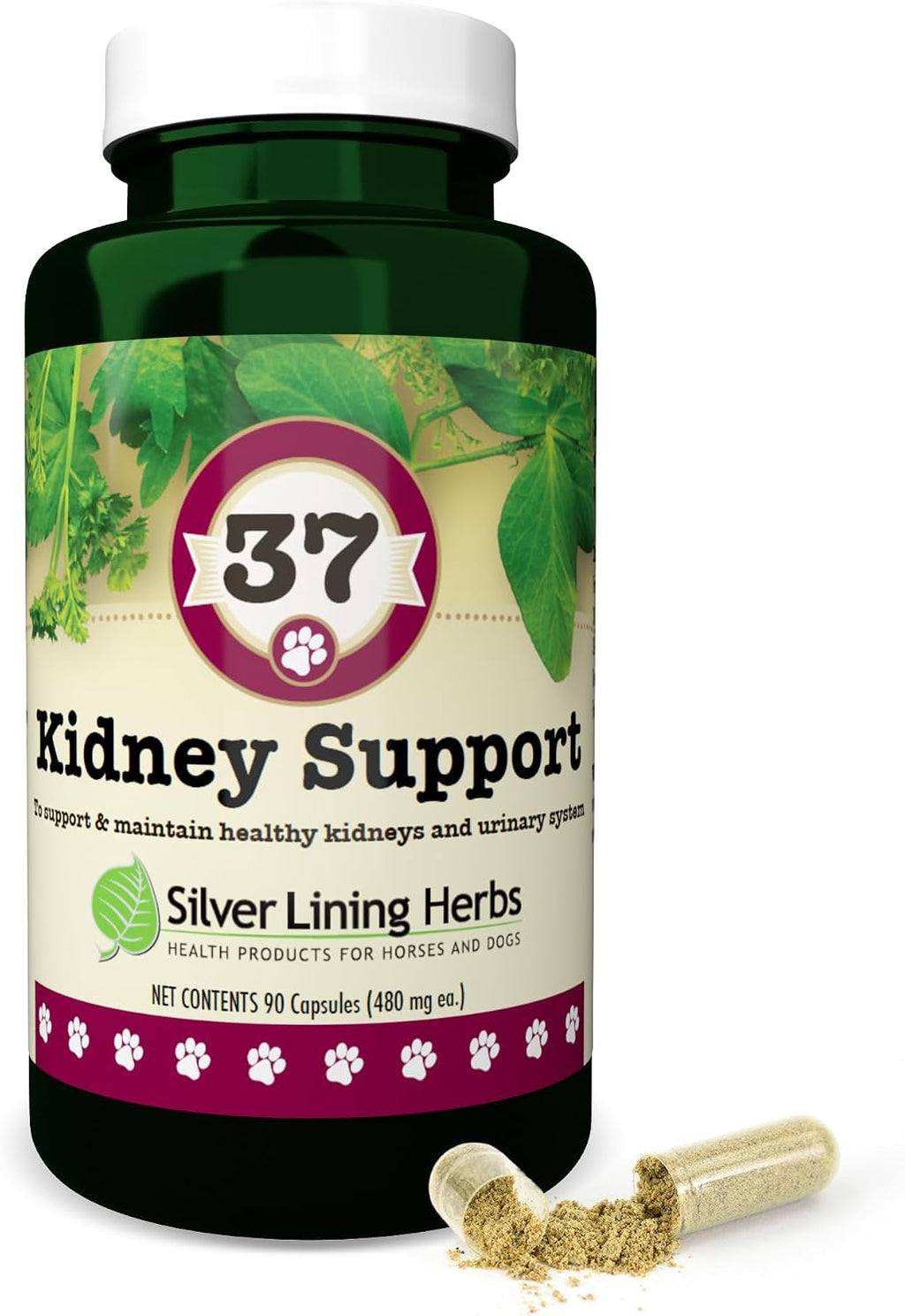 Kidney Support for Dogs – Canine Herbal Supplement for Kidneys and Bladder – 90 Capsules