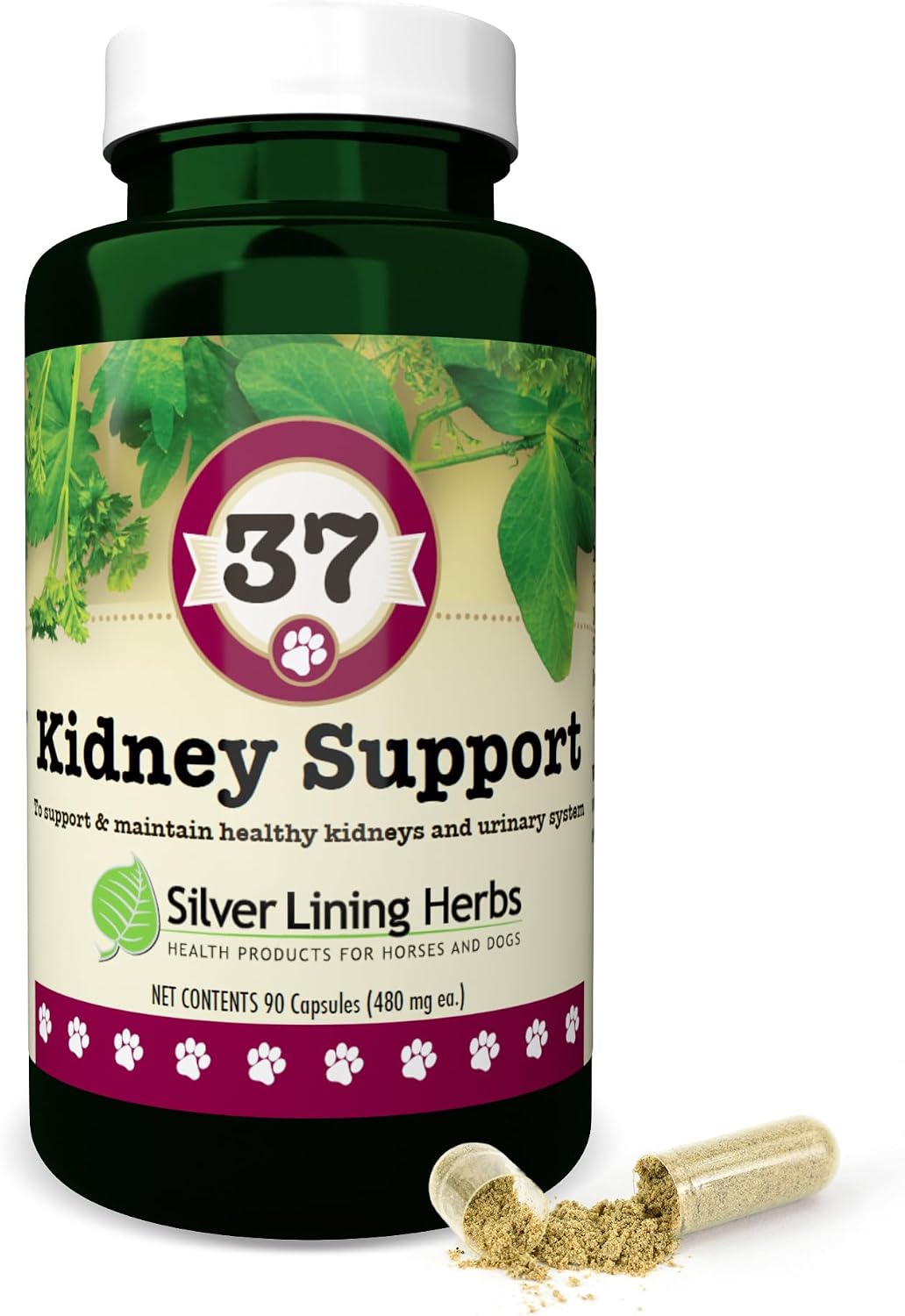 Kidney Support for Dogs – Canine Herbal Supplement for Kidneys and Bladder – 90 Capsules