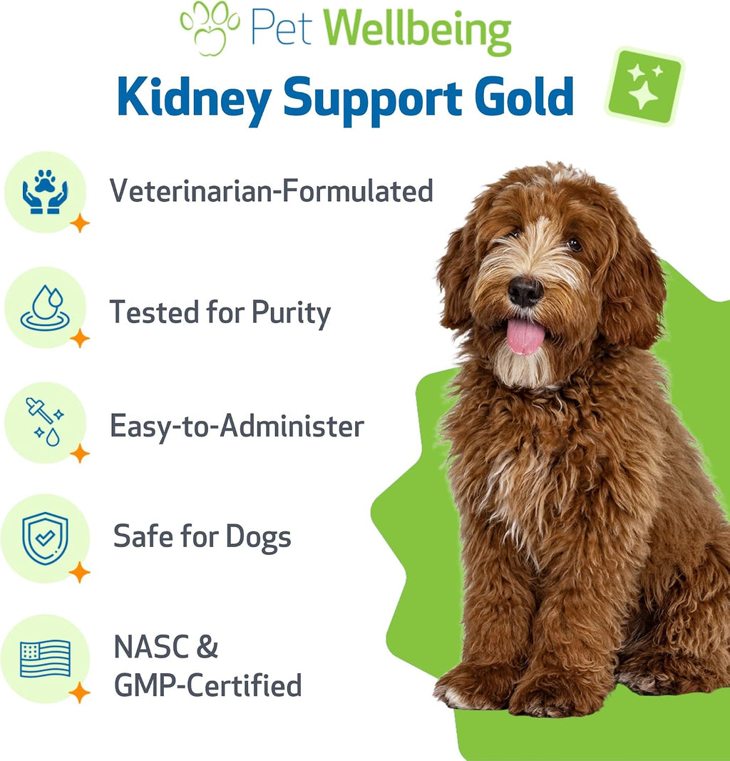 Pet Wellbeing Kidney Support Gold para perros - Favorece la función renal sana, el equilibrio de líquidos, los niveles de energía, Rehmannia, Dong Quai - Suplemento herbal formulado por veterinarios 4 oz (118 ml)