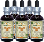 Tintura de Huang Bo (Phellodendron Chinense) - 60 ml