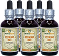 Tintura de Huang Bo (Phellodendron Chinense) - Corteza Seca - 5x60 ml