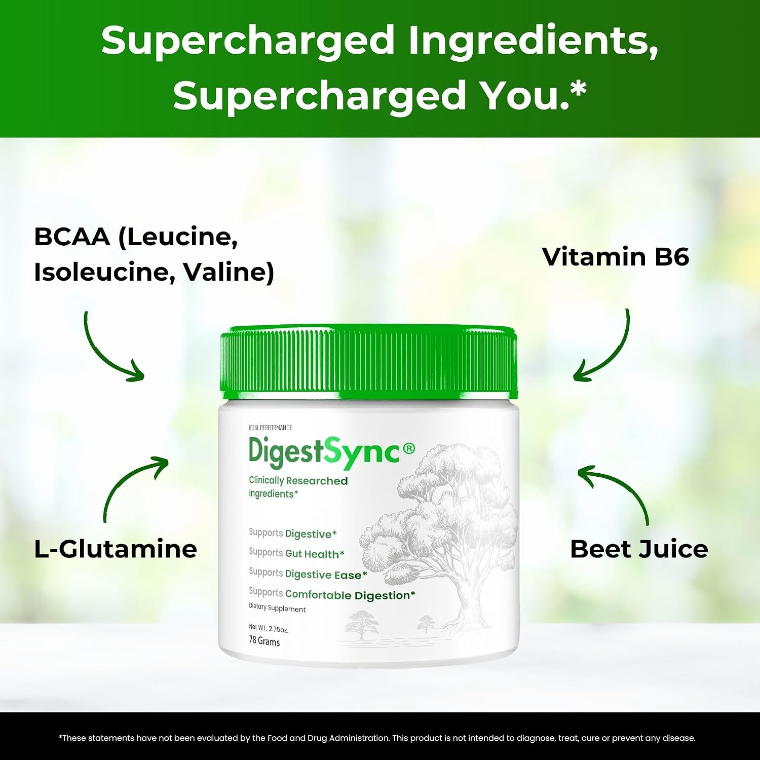 DigestSync Gut Health Powder - Fórmula Avanzada para el Soporte Digestivo, 5 Paquetes