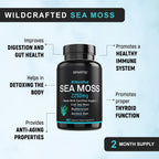 Certified Organic Sea Moss Capsules 2250mg - Wildcrafted Irish Sea Moss, Burdock Root & Bladderwrack - 180 Cápsulas