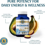 Vykee Nutrition Niacinamida 500 mg - Complemento de Vitamina B3 para el Bienestar de la Piel, Energía Celular y Apoyo Metabólico - Vegano, Sin OGM, Sin Gluten - 120 Cápsulas