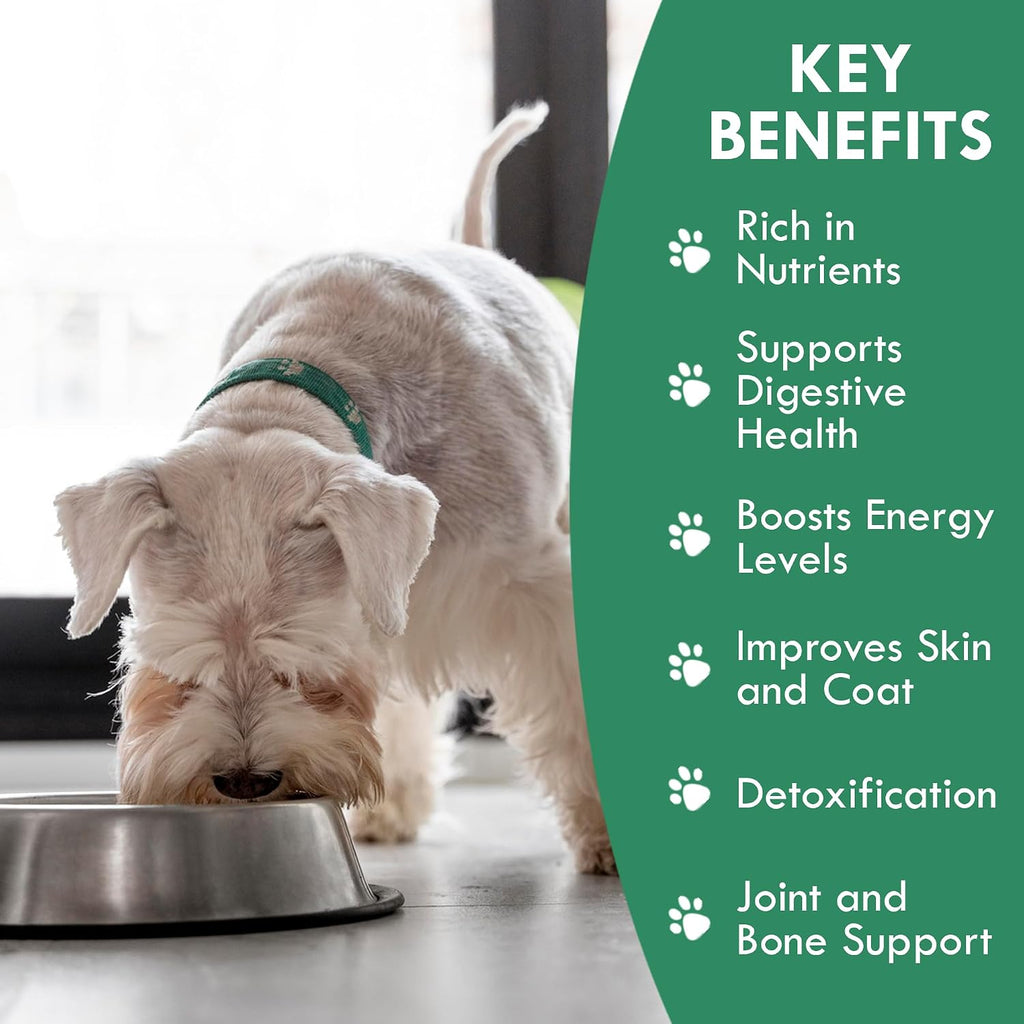 Holistic Bin Canine Super Greens - Complemento en polvo vegetal para perros (50g)