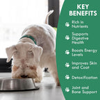Holistic Bin Canine Super Greens - Complemento en polvo vegetal para perros (50g)