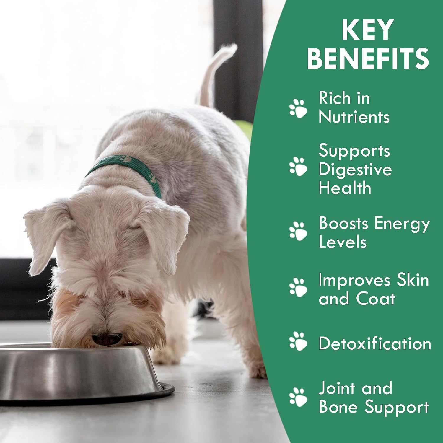 Holistic Bin Canine Super Greens - Complemento en polvo vegetal para perros (50g)