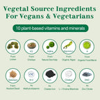 NEVISS (2 Pack) Multivitamínico Vegano para Mujeres y Hombres con Metil B12, D3 K2, Omega 3 Vegetal, Hierro, Colina, Zinc - Gominolas Sin Azúcar