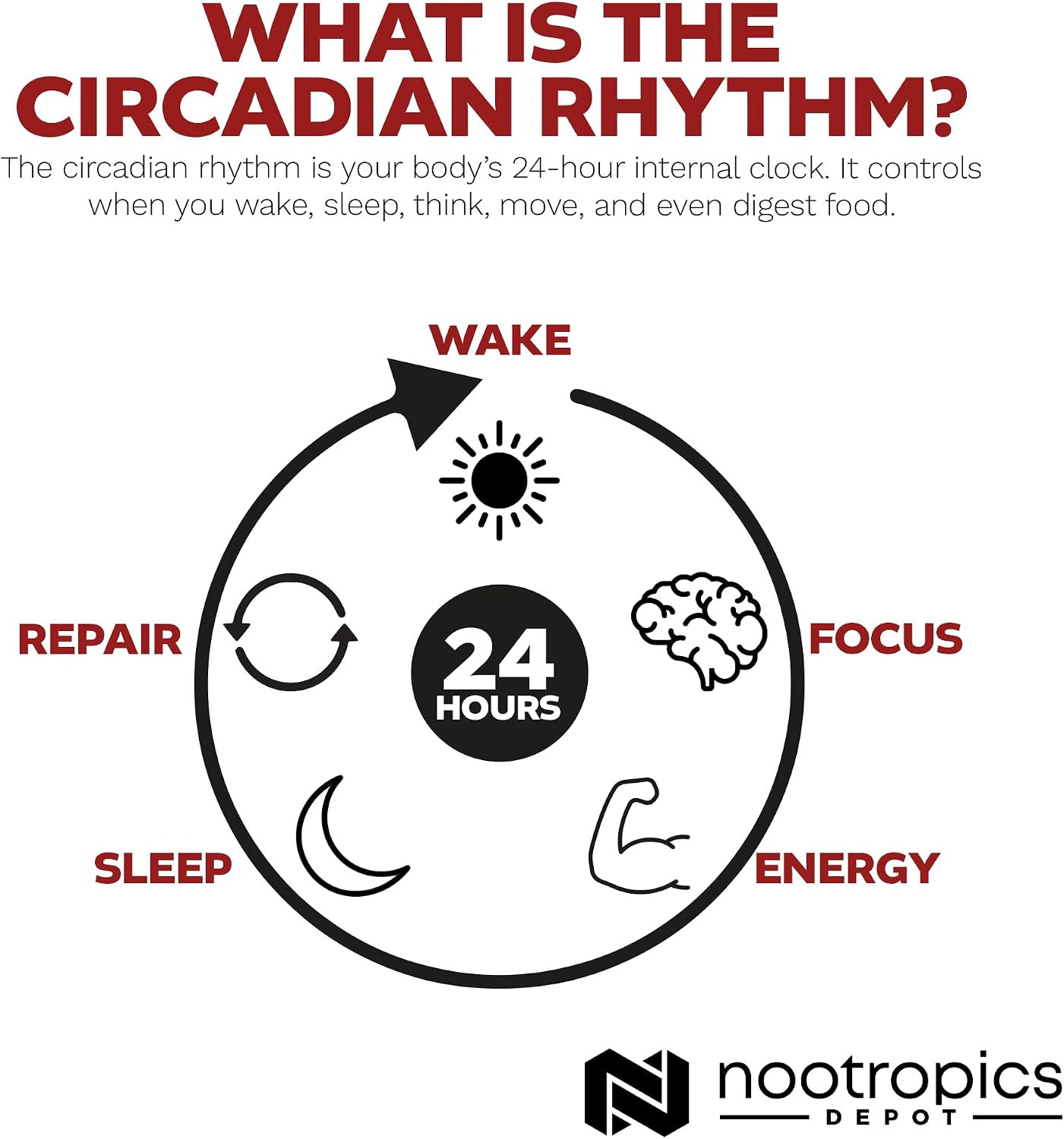 Nootropics Depot Nobiletin Cápsulas | 250mg | 30 Cápsulas | Extracto 20% | Citrus aurantium