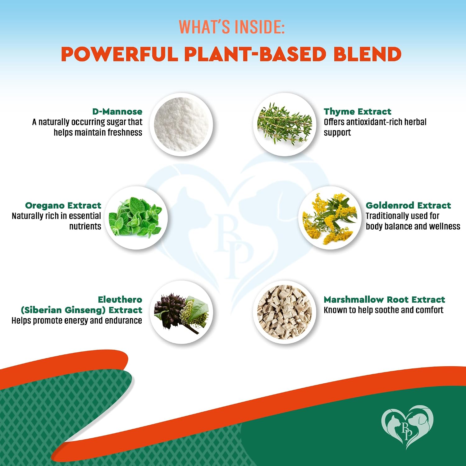 Beloved Pets Suplemento Herbal Natural para Perros y Gatos - Apoyo Urinario, Respiratorio e Inmunológico