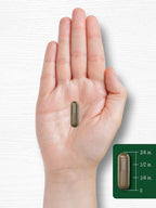 Carlyle Extracto de Hoja de Banaba - 200 Cápsulas