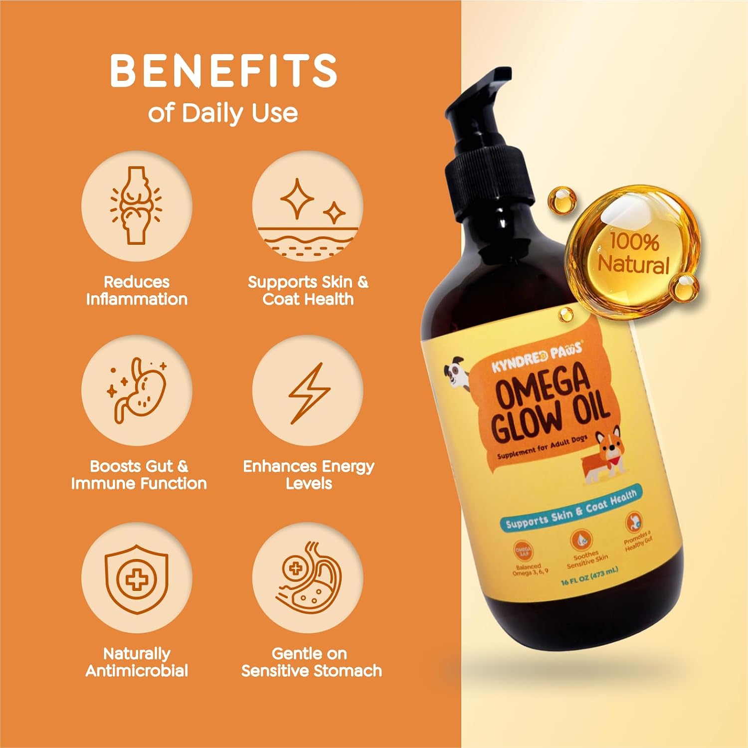 Kyndred Paws Aceite Omega-3-6-9 para Perros, Sabor Natural Sin Olor a Pescado - 8.5 fl oz (251 ml) - Alternativa al Aceite de Salmón - Apoya Piel, Pelaje y Salud Intestinal