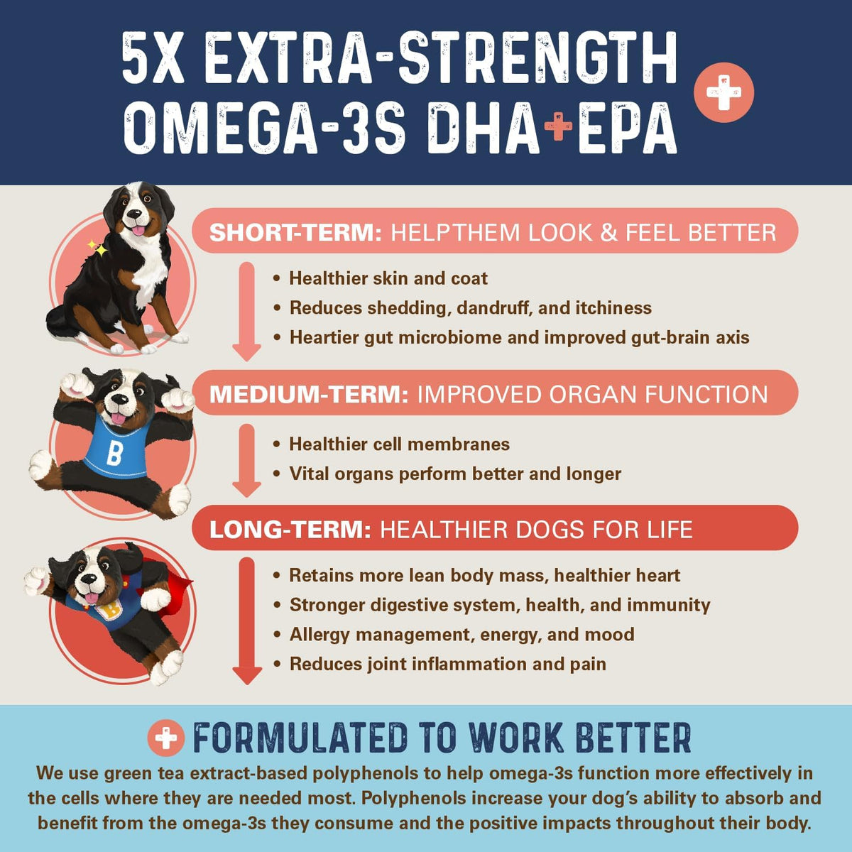 Bernie's OMG! Omega Masticables para Perros - 5X Extra Fuerza DHA+EPA, Aceite de Pescado, Piel y Pelaje Saludables, Alivio – Image 8