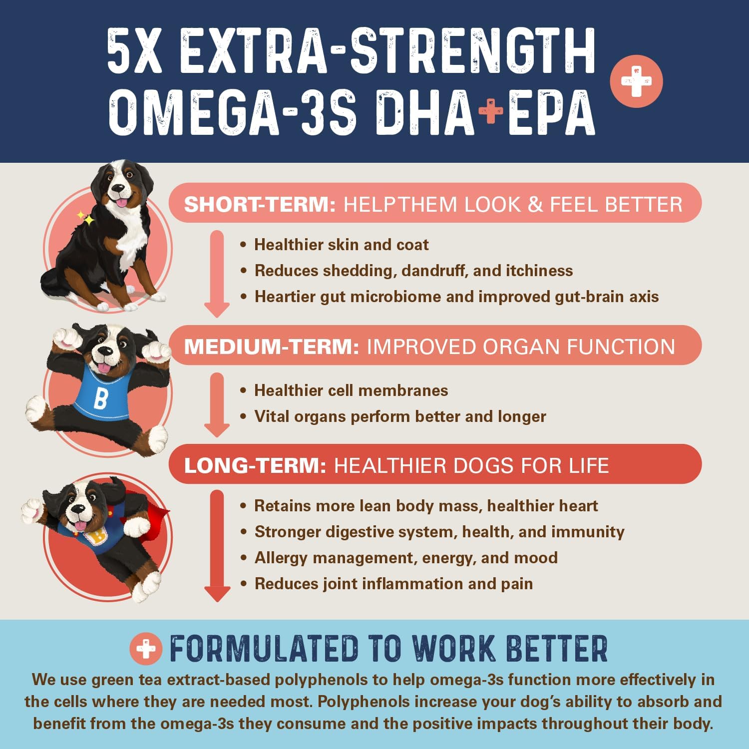 Bernie's OMG! Omega Masticables para Perros - 5X Extra Fuerza DHA+EPA, Aceite de Pescado, Piel y Pelaje Saludables, Alivio de Alergias, Suplemento Articular (Sabor Salmón)
