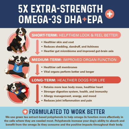 Bernie's OMG! Omegas Masticables para Perros – Sistema inmunológico: Una ingesta adecuada de omega-3 puede ayudar – Image 8