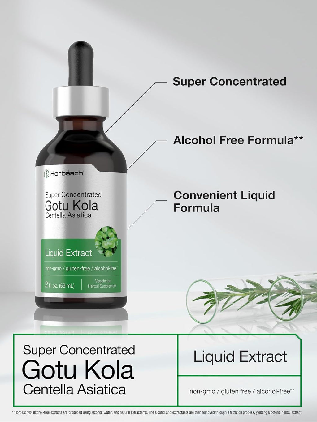 Horbäach Extracto de Gotu Kola - 60 ml - Sin Alcohol - Suplemento Líquido Concentrado - Vegetariano, No-GMO, Sin Gluten