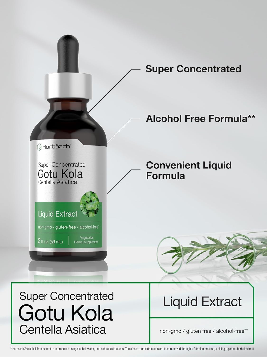 Horbäach Extracto de Gotu Kola - 60 ml - Sin Alcohol - Suplemento Líquido Concentrado - Vegetariano, No-GMO, Sin Gluten