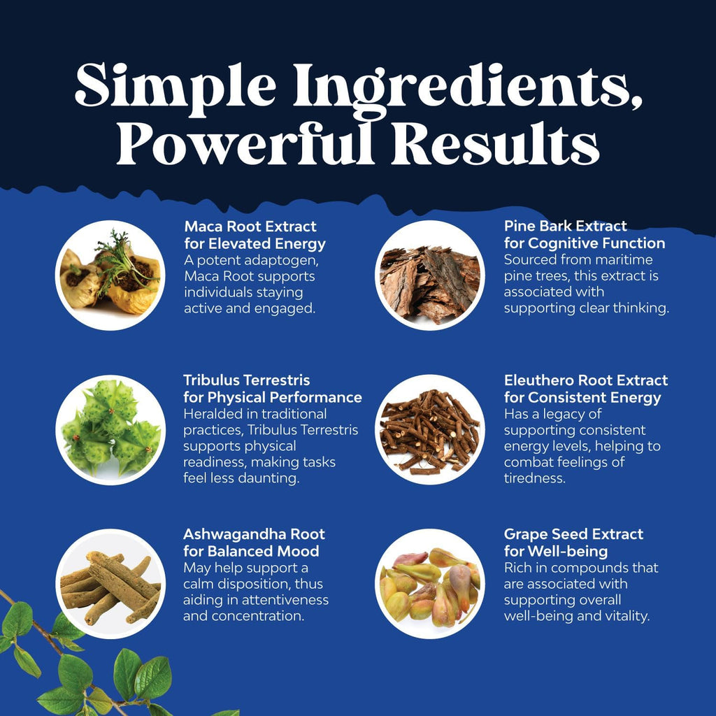 Potent Black Maca Root Cápsulas para Hombres - Complemento Herbal con Ginseng Siberiano, Ashwagandha y Raíz de Maca Negra - 120 Cápsulas