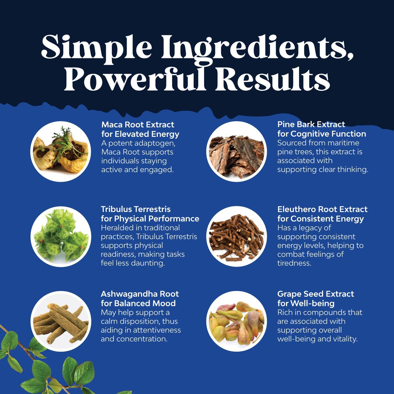 Potent Black Maca Root Cápsulas para Hombres - Complemento Herbal con Ginseng Siberiano, Ashwagandha y Raíz de Maca Negra - 120 Cápsulas