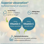 Igennus Vitamin C Chewable 500mg - Tamponada y Suave para Niños y Adultos - 120 Comprimidos
