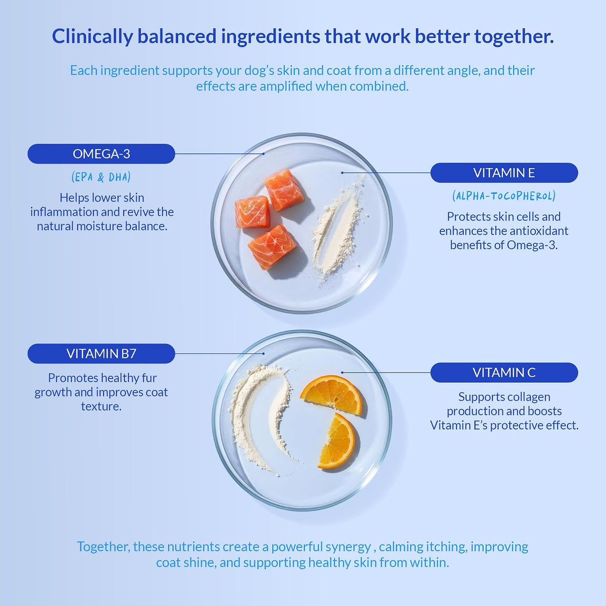 Omega 3 Fish Oil for Dogs - with Omega 3, 6, – Fuente: El aceite de pescado de alta calidad proviene de pescados – Image 6