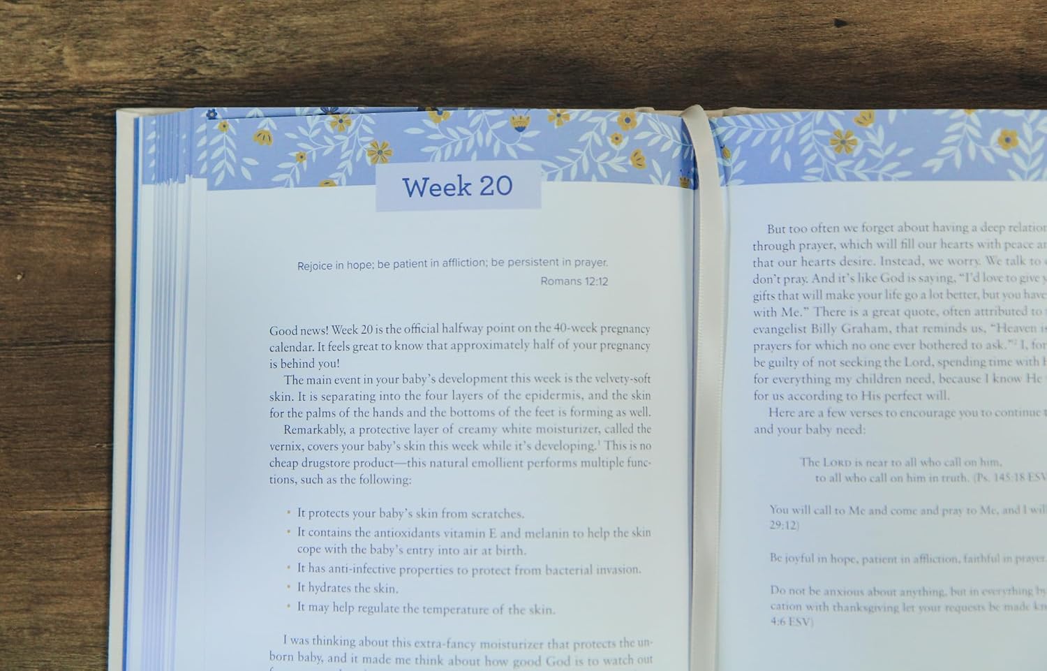 Escribir un diario durante tu embarazo: Devocionales y oraciones para cada semana del desarrollo de tu bebé