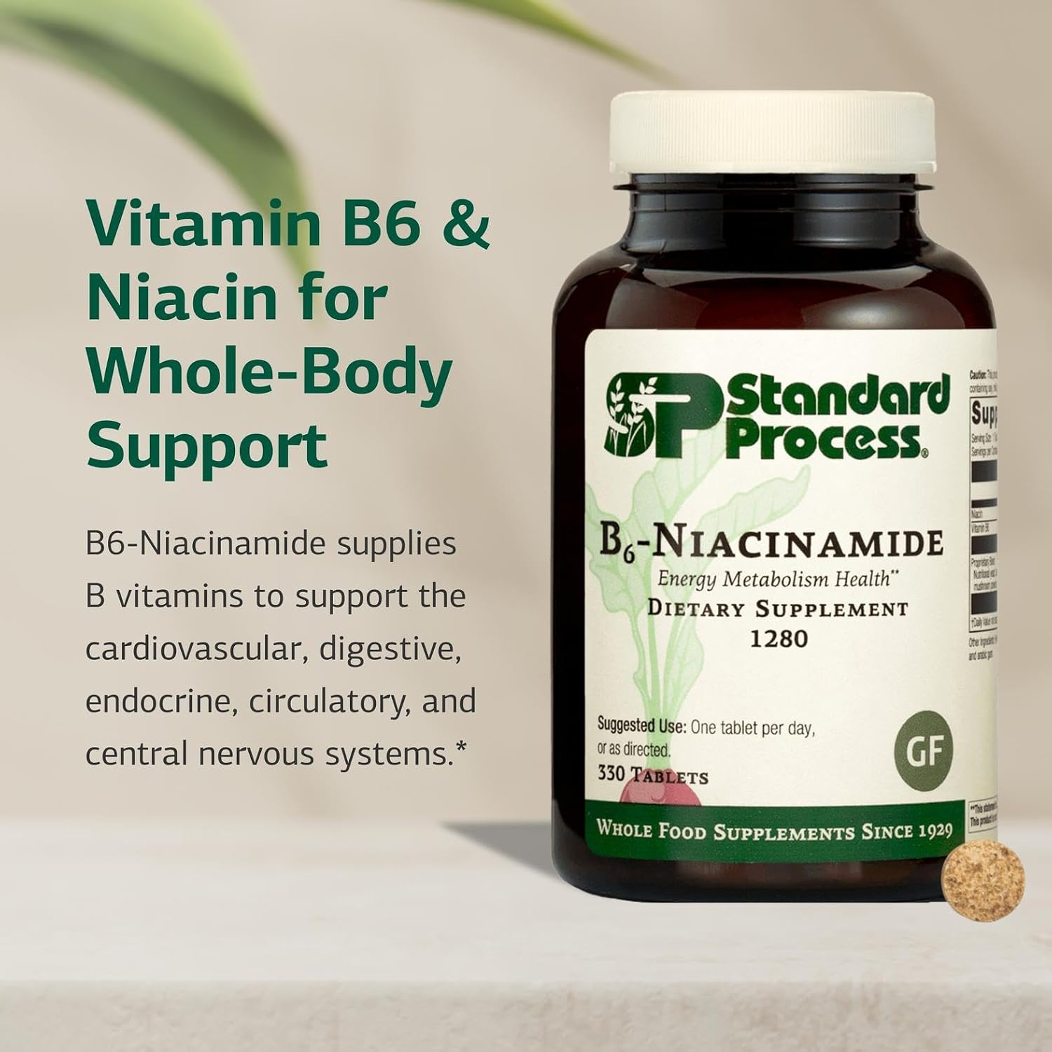 Standard Process B6-Niacinamida, 330 comprimidos