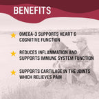 Dr. Boe's Veterinary Essentials VetraHealth Omega-3 Completo – Apoyo para Piel, Articulaciones, Cognitivo e Inmunológico para Perros – Aceite de Pescado Líquido con EPA y DHA